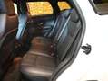 Land Rover Range Rover Evoque 2.0TD4 HSE DYNAMIC 150CV AUT.9m NAVI PELLE CAMFULL Blanc - thumbnail 12