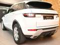 Land Rover Range Rover Evoque 2.0TD4 HSE DYNAMIC 150CV AUT.9m NAVI PELLE CAMFULL Blanc - thumbnail 3