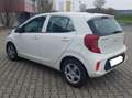 Kia Picanto Picanto/Titan Weiß - thumbnail 1