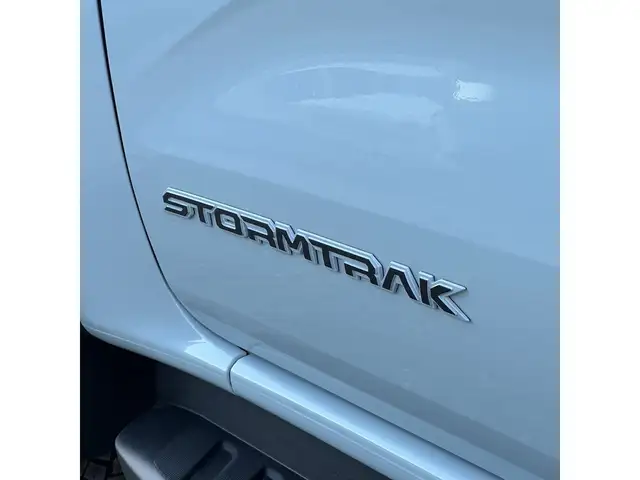 Ford Ranger DK STORMTRAK e-4WD PHEV - verkauft!! Ansicht 2