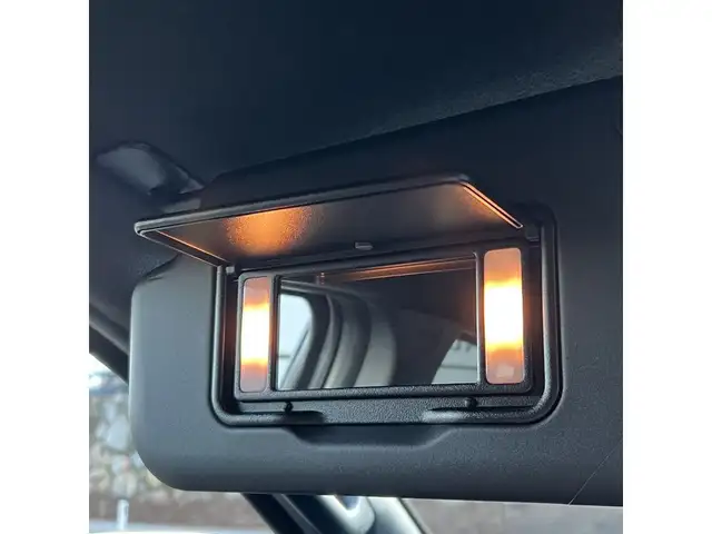 Ford Ranger DK STORMTRAK e-4WD PHEV - verkauft!! Ansicht 27