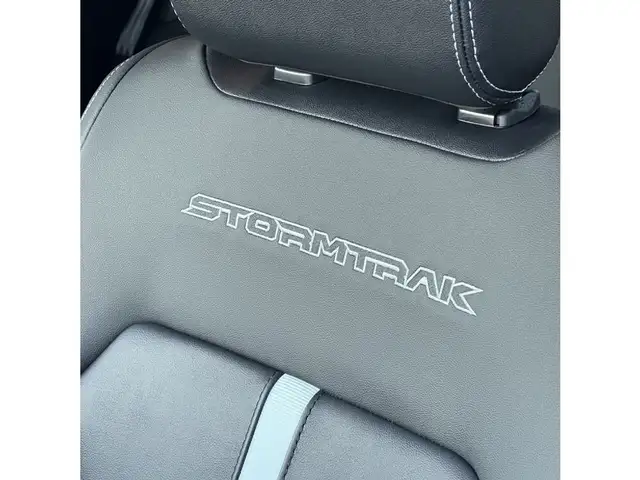 Ford Ranger DK STORMTRAK e-4WD PHEV - verkauft!! Ansicht 14