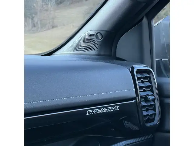 Ford Ranger DK STORMTRAK e-4WD PHEV - verkauft!! Ansicht 31