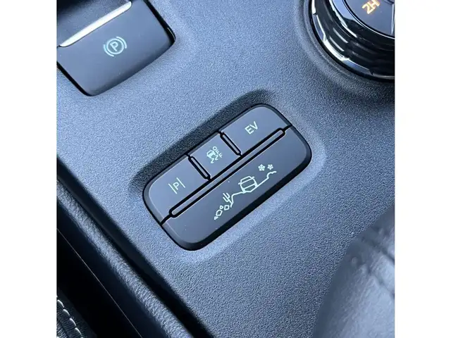 Ford Ranger DK STORMTRAK e-4WD PHEV - verkauft!! Ansicht 30