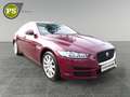 Jaguar XE 2.0 Pure Navi PDC Kamera Klimaautomatik Xenon Rood - thumbnail 7