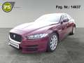 Jaguar XE 2.0 Pure Navi PDC Kamera Klimaautomatik Xenon Rood - thumbnail 1