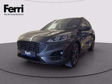 1.5 ecoblue ST-Line 2wd 120cv