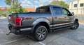 Ford F 150 Lariat FX4 Sport Special Edition Gris - thumbnail 5
