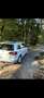 Volkswagen Sharan Highline BMT/Start-Stopp Grau - thumbnail 4
