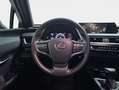 Lexus UX 250h 2.0 Business Rojo - thumbnail 12
