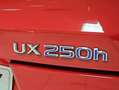 Lexus UX 250h 2.0 Business Rojo - thumbnail 28