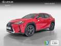 Lexus UX 250h 2.0 Business Rojo - thumbnail 1