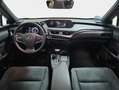 Lexus UX 250h 2.0 Business Rojo - thumbnail 11