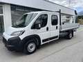 Toyota Proace Max Pritsche Weiß - thumbnail 2