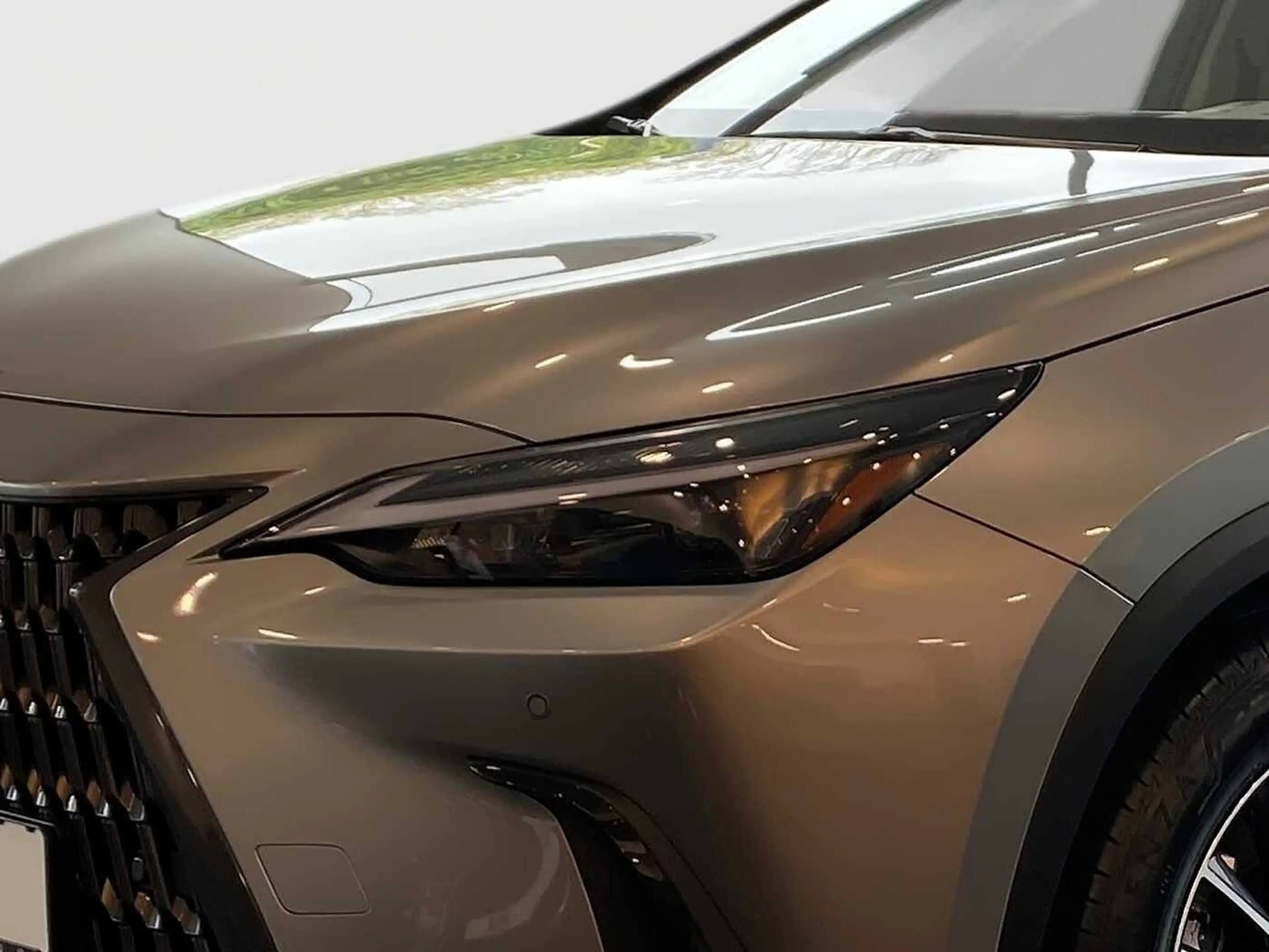 Lexus NX 350h Business Line BUSINESS-P. KAMERA — photo 12