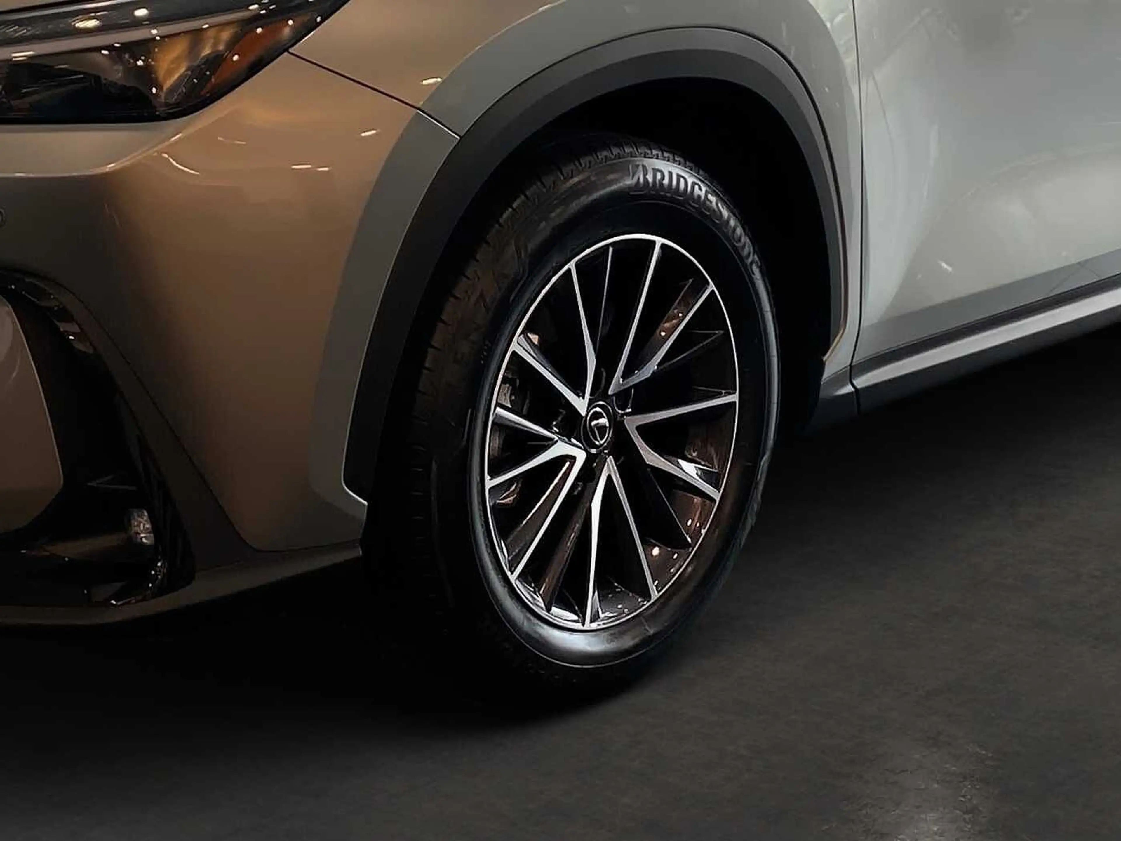 Lexus NX 350h Business Line BUSINESS-P. KAMERA — photo 11
