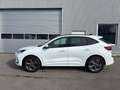Ford Kuga 2,5 Duratec FHEV ST-Line X Aut. Weiß - thumbnail 3