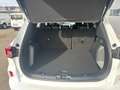 Ford Kuga 2,5 Duratec FHEV ST-Line X Aut. Weiß - thumbnail 6