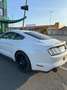 Ford Mustang Mustang 5.0 Ti-VCT V8 GT Weiß - thumbnail 4