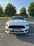 Ford Mustang Mustang 5.0 Ti-VCT V8 GT Weiß - thumbnail 2