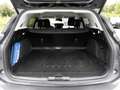 Ford Focus 1.0 EcoBoost Hybrid Titanium X NAV AHK Gris - thumbnail 8