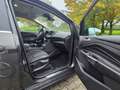 Ford Grand C-Max Behirtenumbau, Aktivfahrer Grand C-Max Titanium Braun - thumbnail 5
