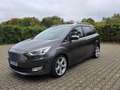 Ford Grand C-Max Behirtenumbau, Aktivfahrer Grand C-Max Titanium Braun - thumbnail 2