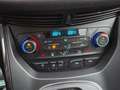 Ford Grand C-Max Behirtenumbau, Aktivfahrer Grand C-Max Titanium Braun - thumbnail 11