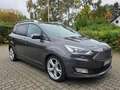 Ford Grand C-Max Behirtenumbau, Aktivfahrer Grand C-Max Titanium Braun - thumbnail 3