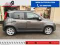 Fiat Panda 1.0 FireFly S&S Hybrid City Life NO VINCOLI Grigio - thumbnail 4