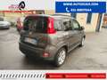Fiat Panda 1.0 FireFly S&S Hybrid City Life NO VINCOLI Grigio - thumbnail 5