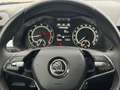 Skoda Kamiq 1.0 TSI Ambition °Navi°AHK°StHz° Blau - thumbnail 13