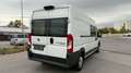 Fiat Ducato 35 L3H2 150 Multijet // 7 sitzt// - thumbnail 4
