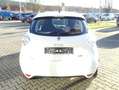Renault ZOE (ohne Batterie) 41 kwh Life Navi PDC hinten Klima Weiß - thumbnail 5