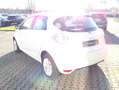 Renault ZOE (ohne Batterie) 41 kwh Life Navi PDC hinten Klima Weiß - thumbnail 6