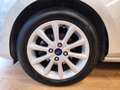 Ford Fiesta Fiesta 1.5 TDCi 5 porte Plus - thumbnail 6