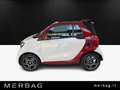 smart forTwo EQ cabrio Pulse Bianco - thumbnail 6