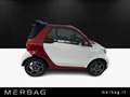smart forTwo EQ cabrio Pulse Bianco - thumbnail 5