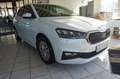 Skoda Fabia FABIA STYLE 110 PS DSG SHZ PDC APP TEMPOMAT LM Weiß - thumbnail 24