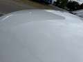 Mazda 6 Sport 2.0i Te Plus Weiß - thumbnail 12