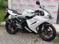 Yamaha TZR 50 YAMAHA TZR 50 ANNO 2008 KM 11.100 Bianco - thumbnail 3