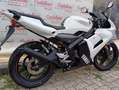 Yamaha TZR 50 YAMAHA TZR 50 ANNO 2008 KM 11.100 Bianco - thumbnail 10