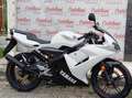 Yamaha TZR 50 YAMAHA TZR 50 ANNO 2008 KM 11.100 Bianco - thumbnail 4