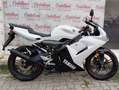 Yamaha TZR 50 YAMAHA TZR 50 ANNO 2008 KM 11.100 Bianco - thumbnail 5