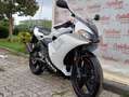 Yamaha TZR 50 YAMAHA TZR 50 ANNO 2008 KM 11.100 Bianco - thumbnail 13