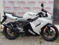 Yamaha TZR 50 YAMAHA TZR 50 ANNO 2008 KM 11.100 Bianco - thumbnail 6