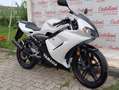 Yamaha TZR 50 YAMAHA TZR 50 ANNO 2008 KM 11.100 Bianco - thumbnail 1