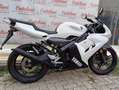 Yamaha TZR 50 YAMAHA TZR 50 ANNO 2008 KM 11.100 Bianco - thumbnail 8