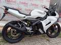Yamaha TZR 50 YAMAHA TZR 50 ANNO 2008 KM 11.100 Bianco - thumbnail 9