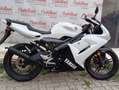 Yamaha TZR 50 YAMAHA TZR 50 ANNO 2008 KM 11.100 Bianco - thumbnail 7